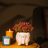 Grey Jumbo Cramic Planter