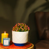 White Marble Textured Ceramic Planter