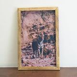Tiger In the Jungle Canvas Painting