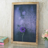 Spring Dream Canvas Painting