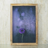 Spring Dream Canvas Painting