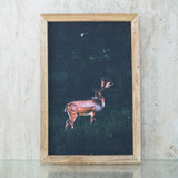Deer Wildlife Canvas Painting