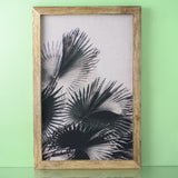 Fan Palm Canvas Painting