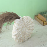 Beige Sprinkled Flower Ceramic Vase