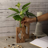 Minimal Testube Planter - Set of 2