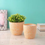 Zig-Zag Yellow Ceramic Planter