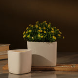 Triangle Ceramic Planted