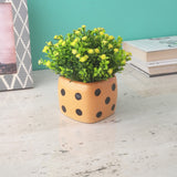 Dice Ceramic Planter- Orange