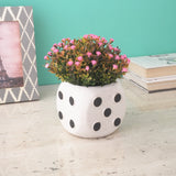 Round Dice Ceramic Planter- White