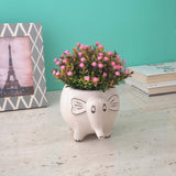 Grey Jumbo Cramic Planter