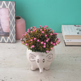 Grey Jumbo Cramic Planter