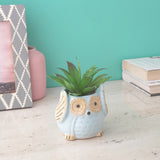Ceramic Owl Planter- Sky Blue