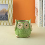 Ceramic Owl Planter- Light Green