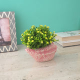 Sea Shell Ceramic Planter- Pink