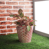 Ceramic Pattern Planter- Red - The Decor Mart