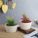 Ceramic Textured Planter- Green & Pink (Set of 2) - The Decor Mart