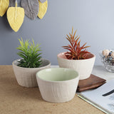 Ceramic Textured Planter- Green, Grey & Pink (Set of 3) - The Decor Mart
