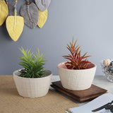 Ceramic Textured Planter- Pink & Grey (Set of 2) - The Decor Mart