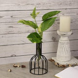 Wire Cage Testube Planter - The Decor Mart