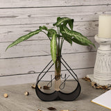 Joy Testube Planter- Black - The Decor Mart