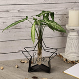 Love Testube Planter - The Decor Mart