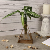 Love Triangle Testube Planter - The Decor Mart