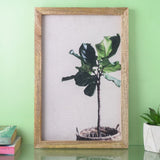 Fiddle Leaf Canvas Painting