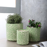 Ceramic Labyrinth Planter- Sage (Set of 3) - The Decor Mart