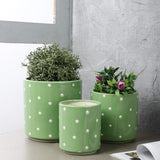 Ceramic Polka Dot Planter- Sage - The Decor Mart