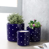 Ceramic Polka Dot Planter- Blue - The Decor Mart