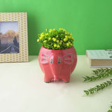 Red Jumbo Cramic Planter