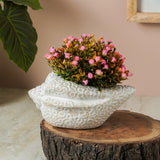 Sea Shell Ceramic Planter- White
