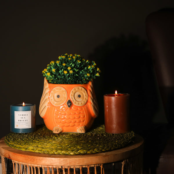 Small Ceramic Owl Planter- Yellow