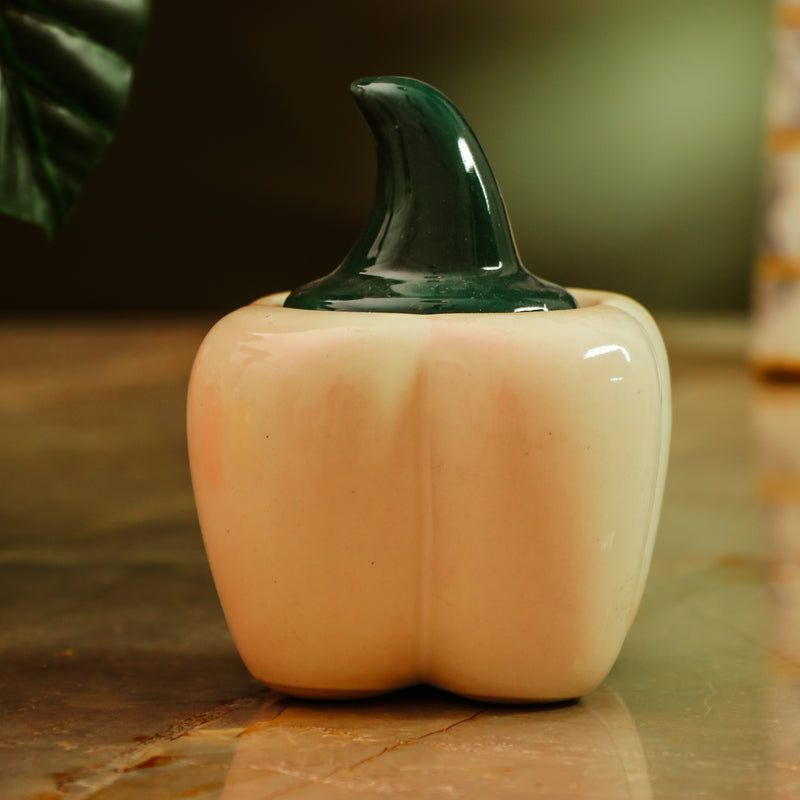 Ceramic Capsicum Storage Box