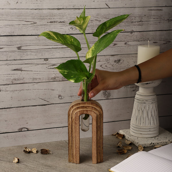 Arch Step Testube Planter