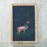 Deer Wildlife Canvas Painting