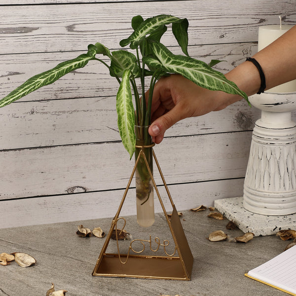 Love Triangle Testube Planter