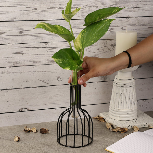 Wire Cage Testube Planter