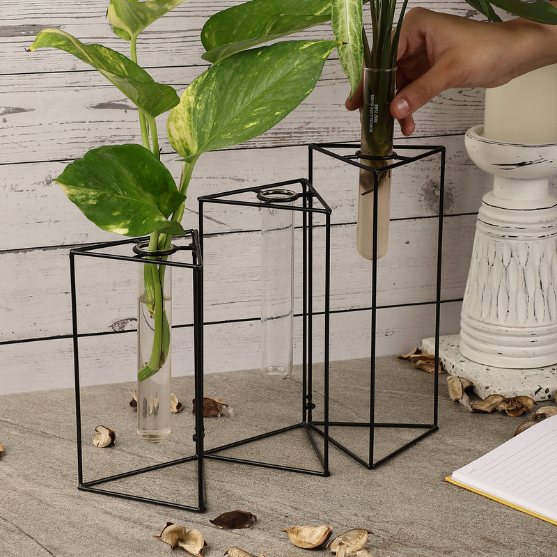 Tri Foldable Testube Planter