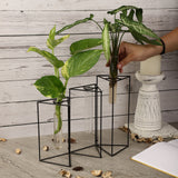 Tri Foldable Testube Planter