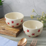 Red Floral Ceramic Bowl- Set of 2