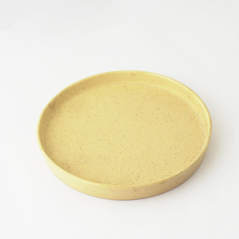 Modern Snack Platter- Beige