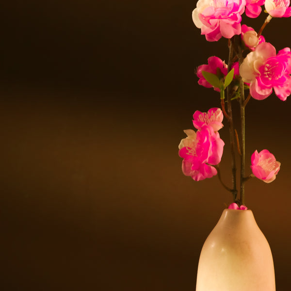 Dual Toned Ceramic Vertical Vase