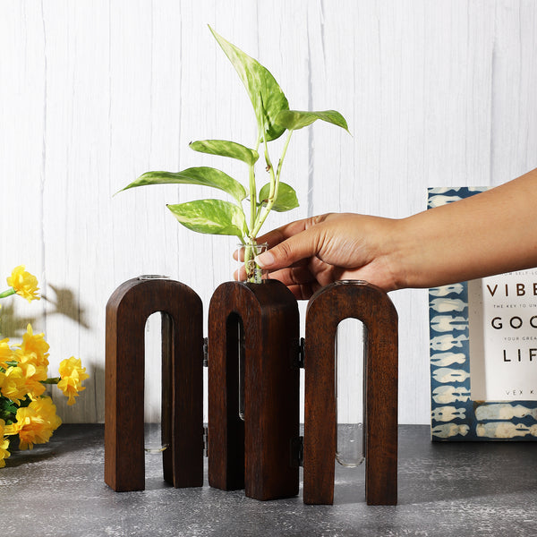 Foldable Arch Testube Planter- Dark