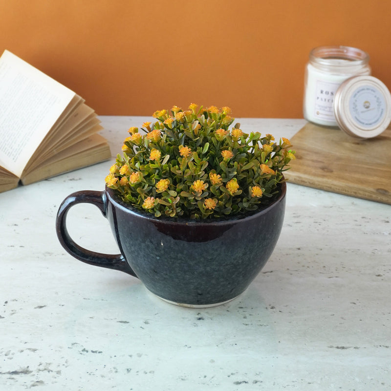 Cup Ceramic Planter