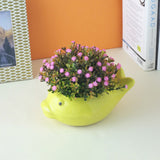 Ceramic Fish Planter