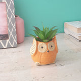 Small Ceramic Owl Planter- Yellow