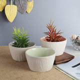 Ceramic Textured Planter- Green, Grey &  Pink (Set of 3) - The Decor Mart 