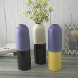 Dual Toned Cylindrical Vase