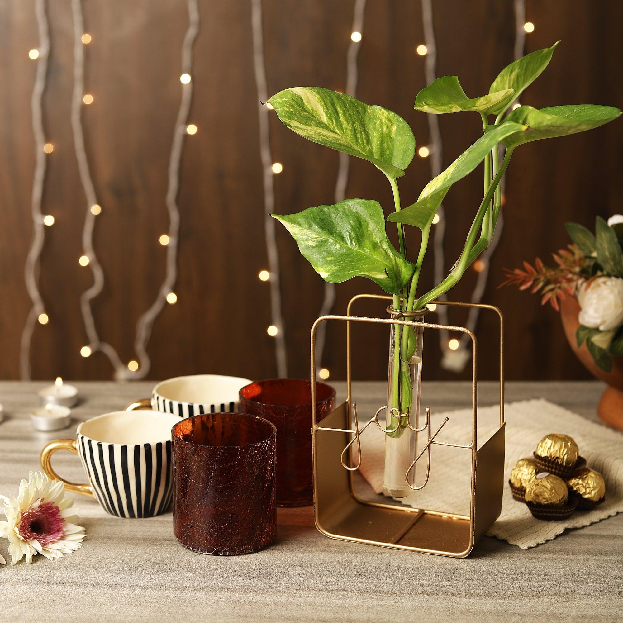 Table Spread Combo- Red – The Decor Mart
